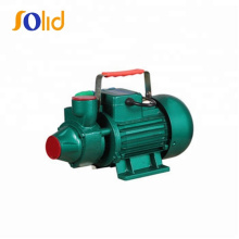 Hot Sale Electrical Clean Water Pump